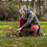 Meer Bomen Nu - verplantmethode verspreidt zich in Provincie Zeeland
