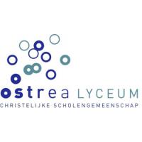 Docent Engels