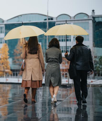 Voorbereid op een productieve herfst